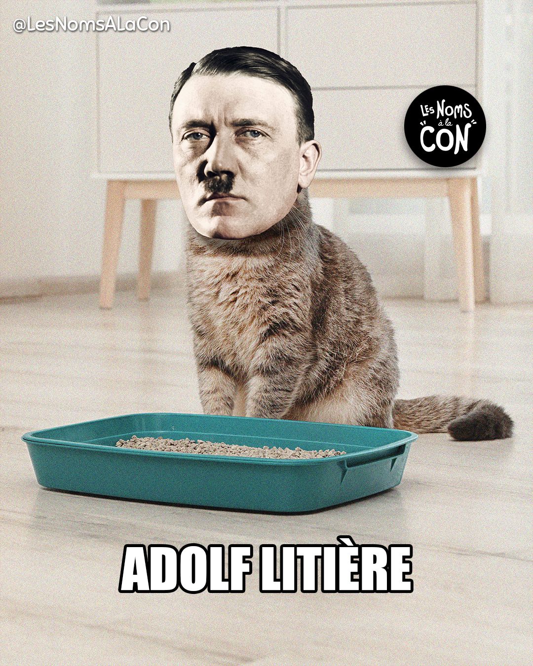 Adolf Litière