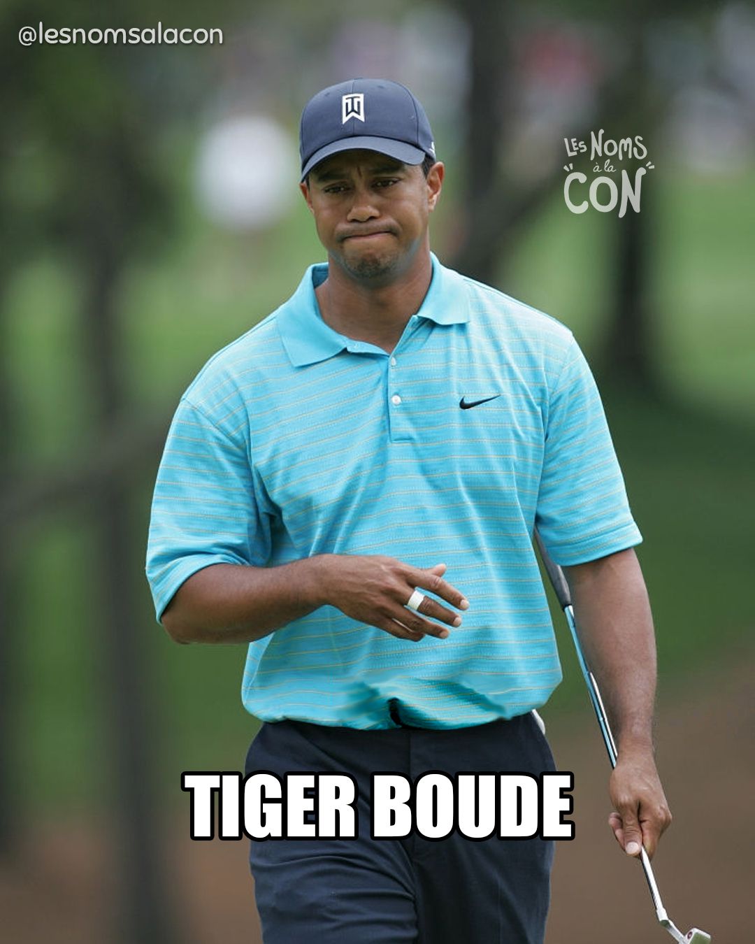 Tiger Boude
