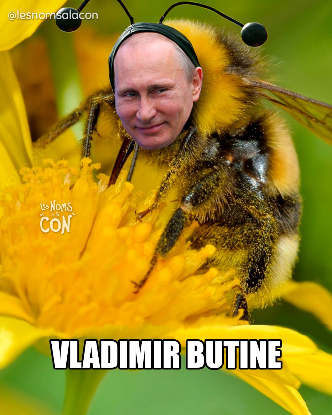Vladimir Butine