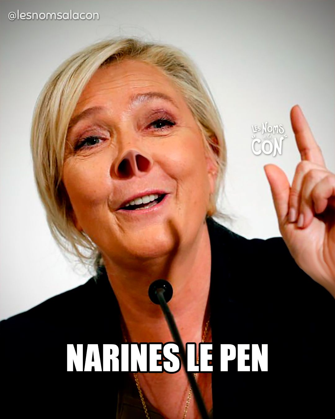 Narines Le Pen
