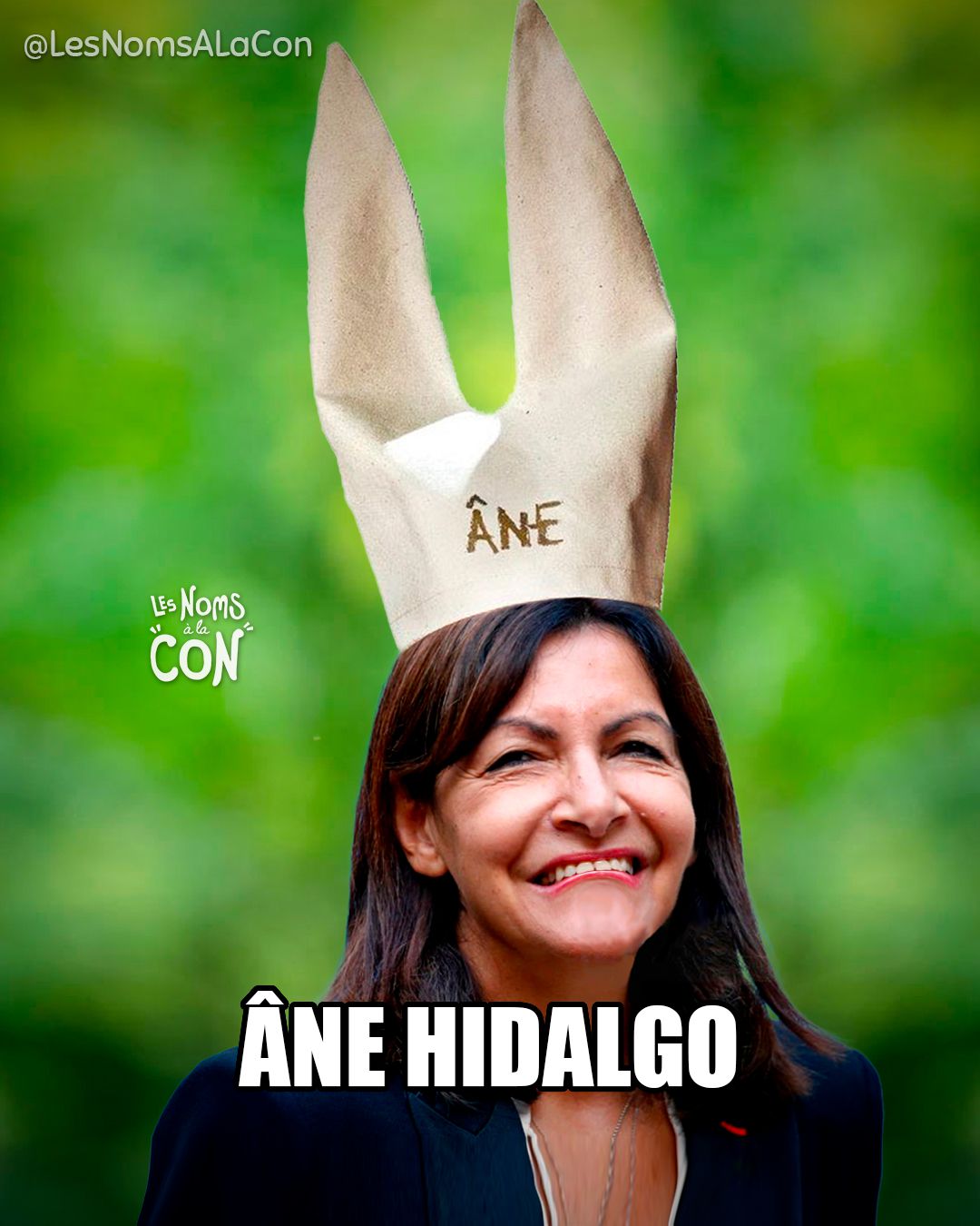 Ânes Hidalgo
