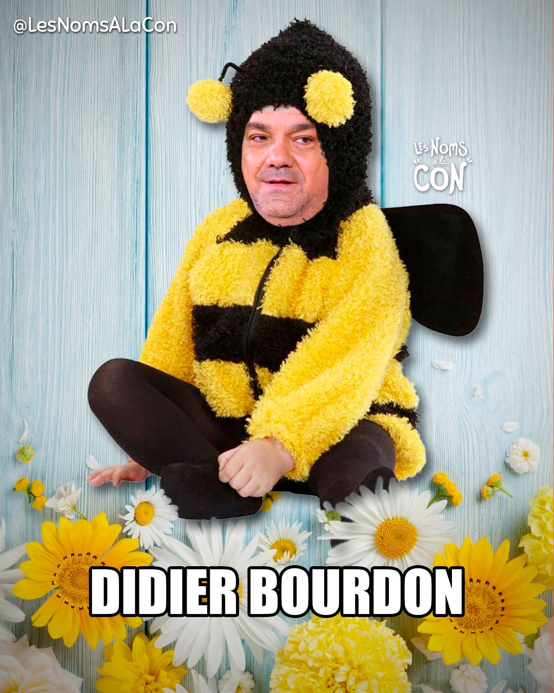 Didier Bourdon (nom inchangé)