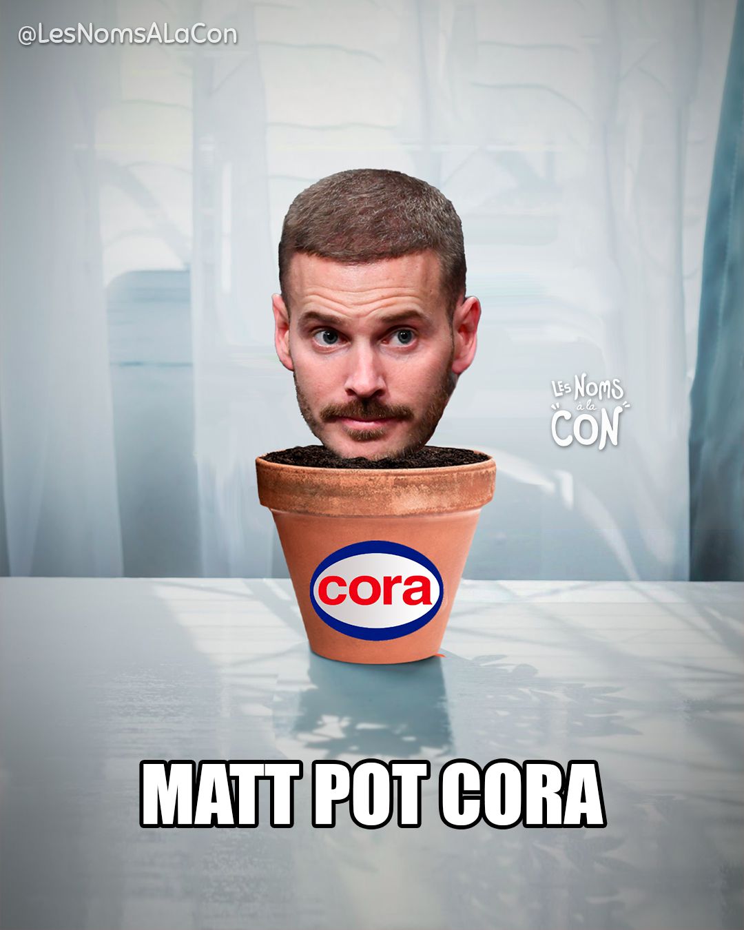 Matt Pot Cora