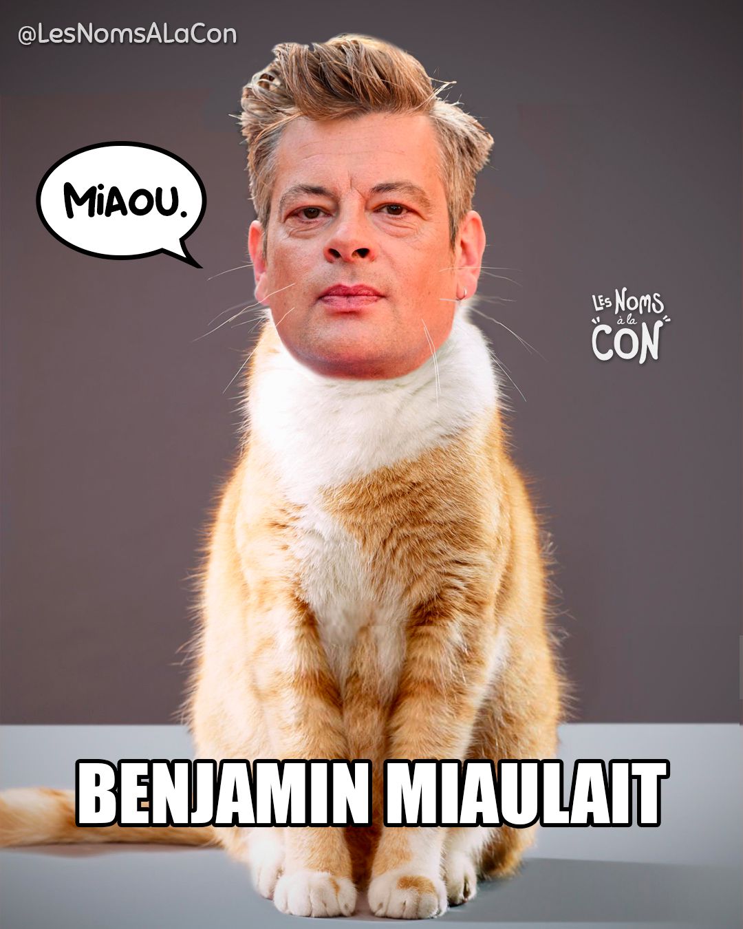Benjamin Miaulait