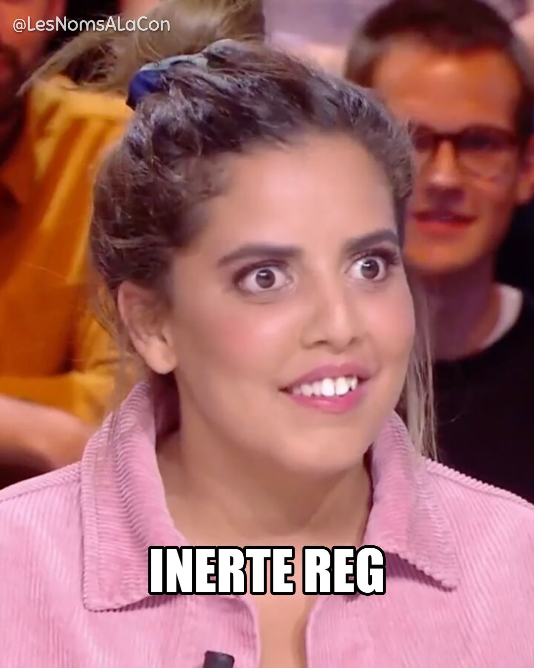 Inerte Reg