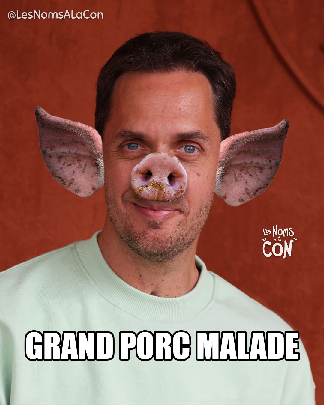 Grand Porc Malade