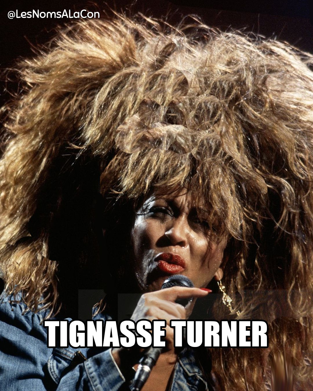 Tignasse Turner